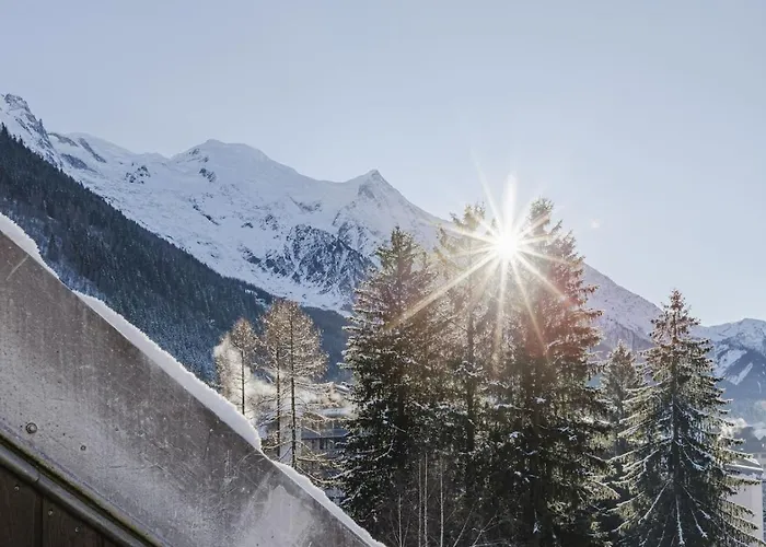 Appartement Ciel - Duplex 100m2 Centre Vues Parking 3ch 3sdb *